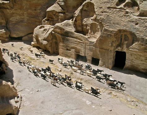 Petra Archaeological Site | World Monuments Fund