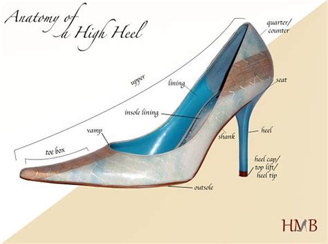 Anatomy of a High Heel Part I: Shoe Jargon | Heels, How to make shoes, Shoe lacing techniques