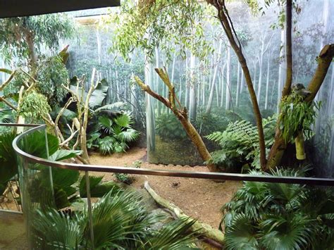 Nature Animals, Zoo Animals, Animals And Pets, Koala, Zoo Boo, Reptile Park, Zoo Architecture ...