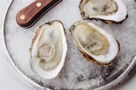 Blue Point Oysters | Oysterology Online — Pangea Shellfish Company | Oyster and Shellfish Wholesale