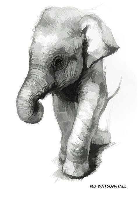 Baby Elephant (2017) Digital Art (Giclée) by Marlene Watson | Elephant ...