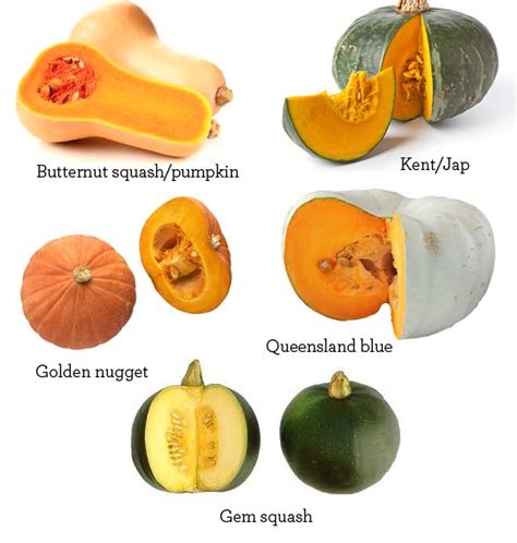 20 Awesome Paleo Pumpkin Recipes