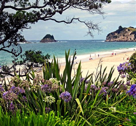 Hot Water Beach, Cathedral Cove, Hahei Beach, Tairua Estuary ...