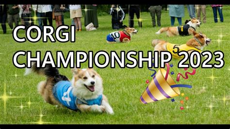 🎉Get Ready for Corgi Cuteness Overload 🍾2023 BlackHawk Wellington Corgi Races in NZ 🐶😍🐶#corgi ...