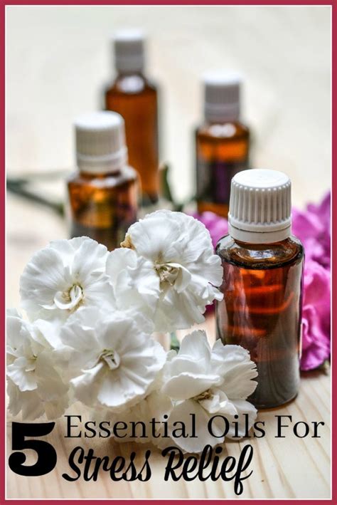 Need to Relax? Try these 5 Essential Oils For Stress Relief - Life ...