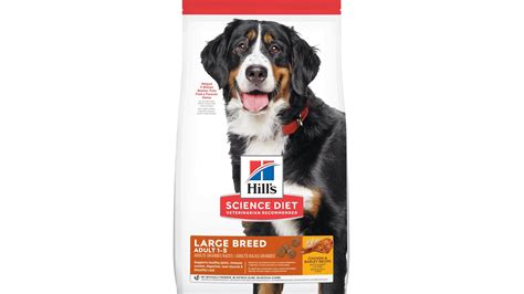 Best dog food for allergies: Help to relieve skin problems, upset stomachs and more | PetsRadar