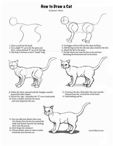 How to Draw a Cat | Warrior cat drawings, Cat drawing, Animal drawings