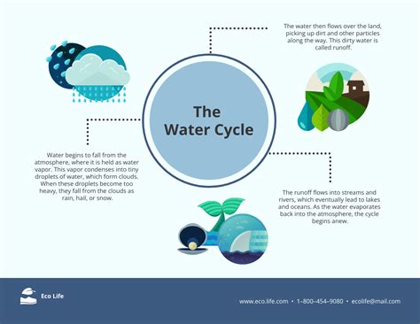 The Water Lifecycle Ecosystem Infographic Template - Venngage