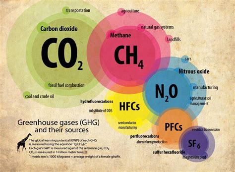 Greenhouse Emissions and Carbon Taxes | BA 850: Sustainability Driven Innovation