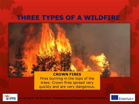 Primary - Wildfires - Prevention