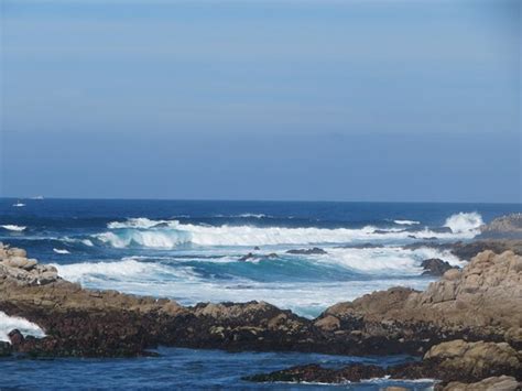 Asilomar State Beach (Pacific Grove): UPDATED 2020 All You Need to Know Before You Go (with PHOTOS)