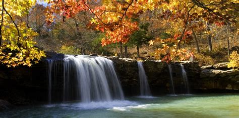 Ozark National Forest Camping Guide from Local Experts