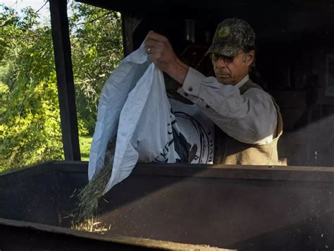 Wild Rice Harvesting Has Become a Decades-Long Tradition in Ball Club ...