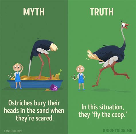 12 Myths About Animals That You Should STop Believe Now!