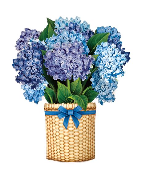 Mini Pop-Up Flower Bouquet: Nantucket Hydrangeas– Plunkett's Hallmark