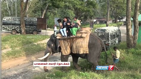 Elephant Safari Resumes in Mudumalai Wildlife Sanctuary - YouTube