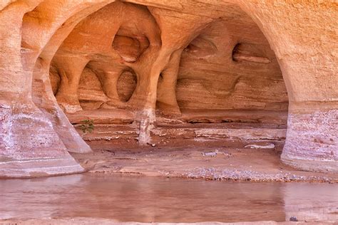 Paria Canyon-Vermillion Cliffs Wilderness Photograph by Arlene Waller ...