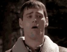 Dumb And Dumber Toilet Scene Gif GIFs | Tenor