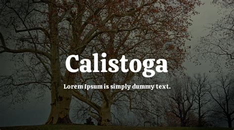 Calistoga Font Family : Download Free for Desktop & Webfont