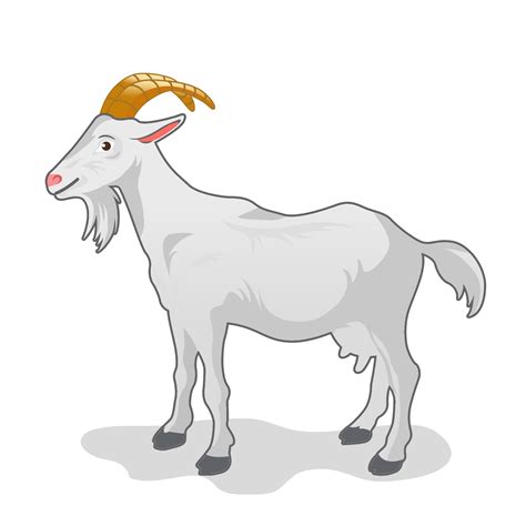 cartoon white goat isolated on white background 16769816 Vector Art at ...