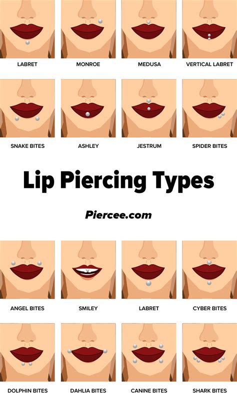 Mouth Piercings Diagram