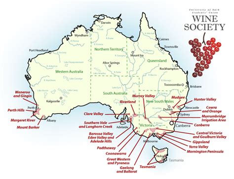 Australian Wine Regions You Must Visit