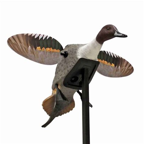 MOJO Elite Series Pintail Duck Decoy | Sportsman's Warehouse