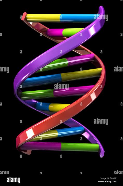 DNA Double Helix Model on black background - 3D render - Concept Stock ...