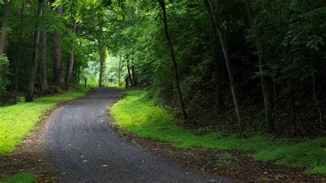 Pretty photo of a Virginia trail through the woods! | Pretty places ...