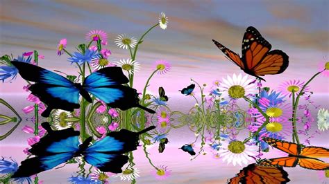Animated Butterfly Wallpapers - Top Free Animated Butterfly Backgrounds - WallpaperAccess
