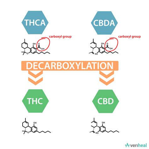 Weed Decarboxylation: How to Decarb Cannabis - Leaf Alleviate CBD ...