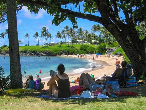 Kapalua Bay Snorkeling Secrets! The Complete Guide to Maui Snorkeling!