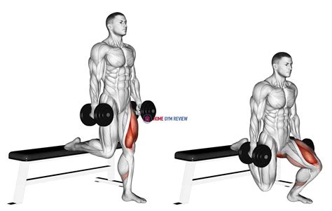 Dumbbell Single Leg Split Squat - Home Gym Review