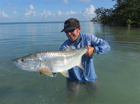 Fish Facts: Tarpon (Megalops atlanticus) - Orvis News