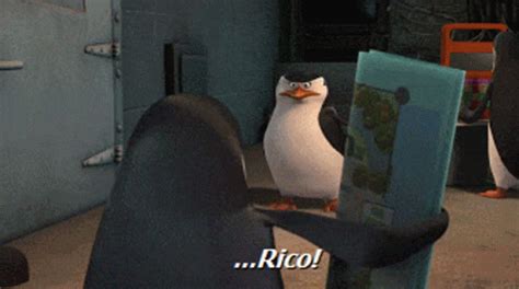 Rico Penguins Of Madagascar GIF - Rico Penguins Of Madagascar Penguin ...