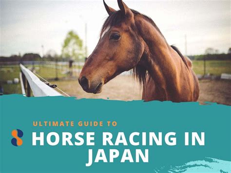 The Ultimate Guide to Horse Racing in Japan