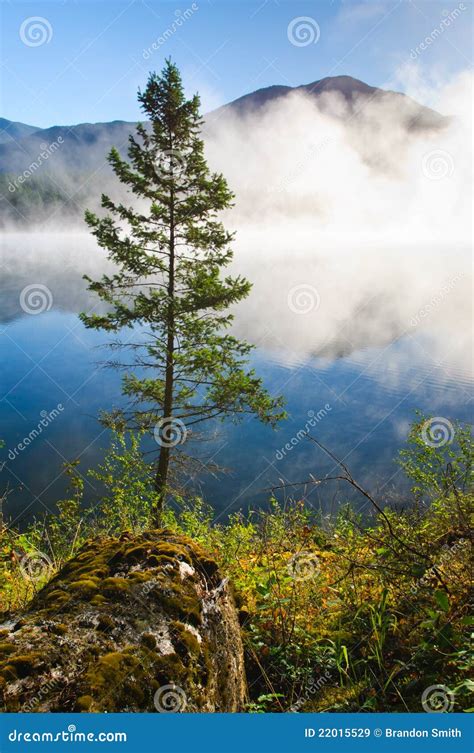 Loon Lake BC stock image. Image of fresh, scene, british - 22015529