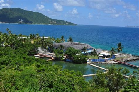 THE BEST Tortola All Inclusive Resorts 2024 - Tripadvisor