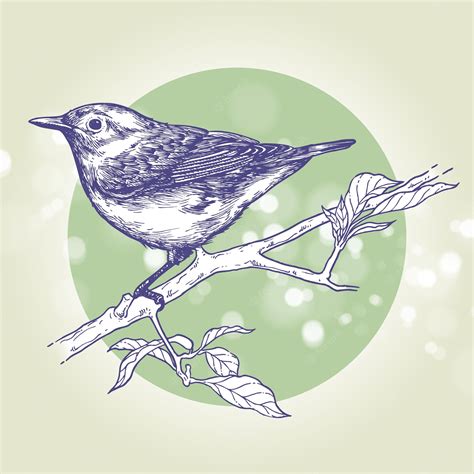 Premium Vector | Bird perched on a branch ink drawing hand drawn illustration vector