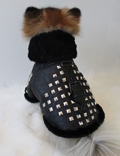 Genuine Leather Shearling Studded Luxury Dog Coat