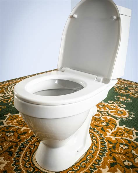 Reasons Not to Have Carpet in Your Bathroom | Soakology