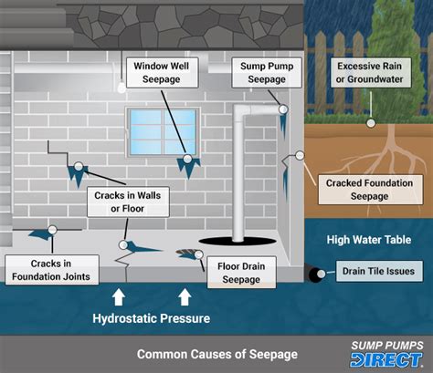 water seeping into basement through floor - Herta Catron