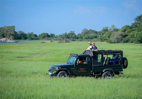 Wilpattu National Park: Untamed Wilderness Awaits Your Safari Adventure ...