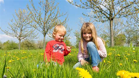 Children Playing In Field