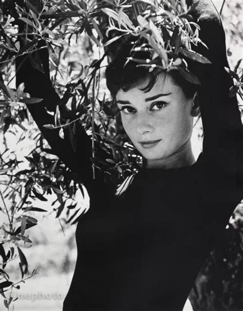 1950S VINTAGE AUDREY HEPBURN Movie Actress By PHILIPPE HALSMAN Photo ...