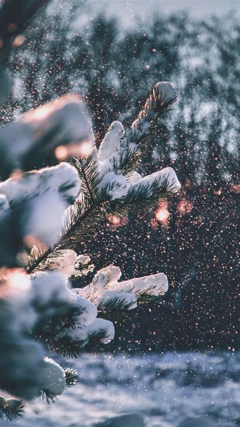 Aesthetic Christmas Let It Snow Wallpapers - Wallpaper Cave