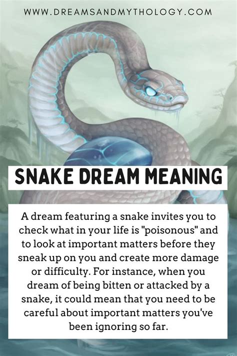 SNAKE DREAM MEANING | Dream meanings, Meant to be, Understanding dreams