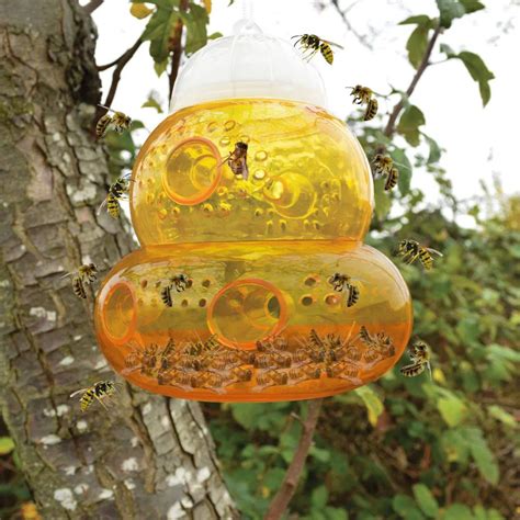 2018 New 2pack Wasp Trap Hornets Yellow Jackets Wasp Repellent Hornet Trap Bee Catcher #NE815-in ...