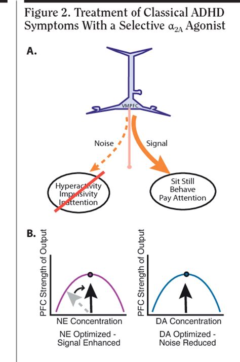 Figure 2 from Mechanism of action of alpha 2A-adrenergic agonists in attention-deficit ...