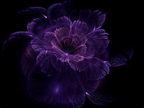 Fond d'écran : fond noir, abstrait, violet, Fractale, Fleurs fractales, fleur, plante, obscurité ...